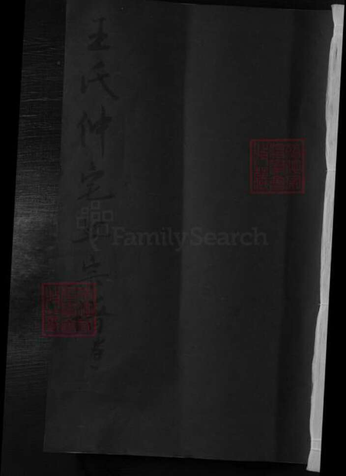 江西省九江市湖口县王氏族谱-王氏仲宅上宗谱.pdf电子版缩略图