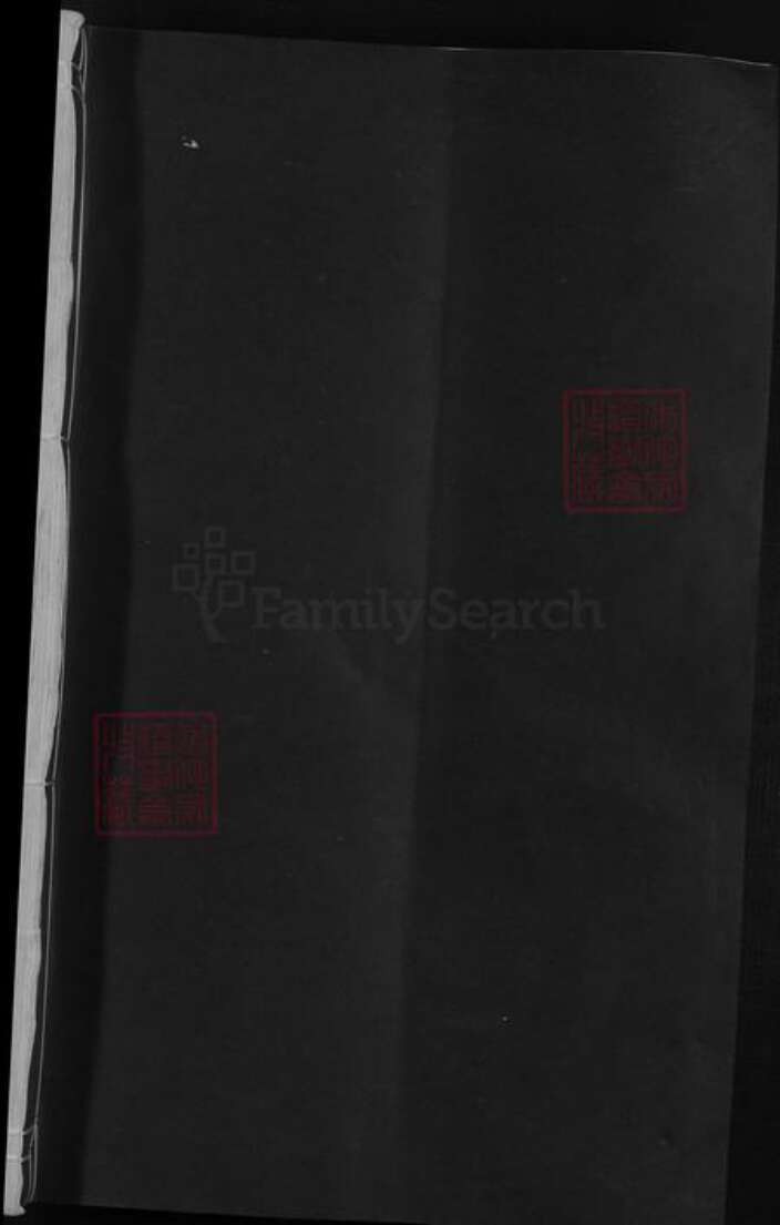 江西省九江市湖口县王氏族谱-王氏仲宅上宗谱.pdf电子版预览图1