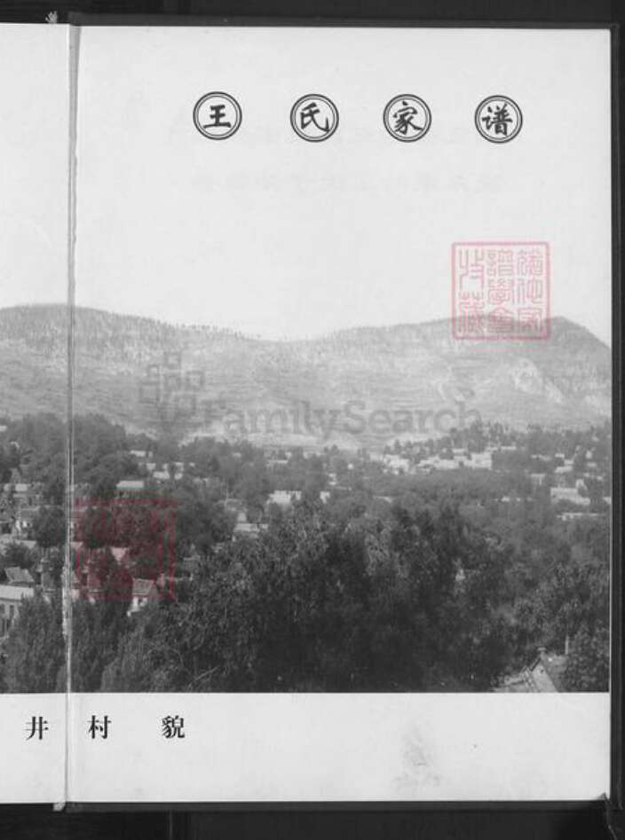 山东省淄博市淄川区王氏族谱-王氏世谱.pdf电子版预览图2