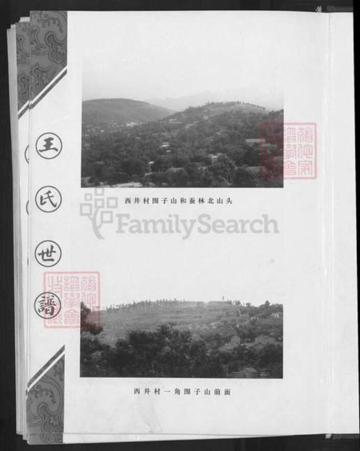 山东省淄博市淄川区王氏族谱-王氏世谱.pdf电子版预览图5