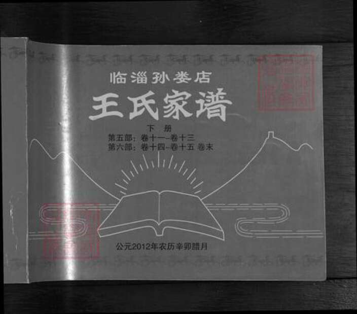 山东省淄博市临淄区王氏族谱-王氏家谱.pdf电子版预览图1