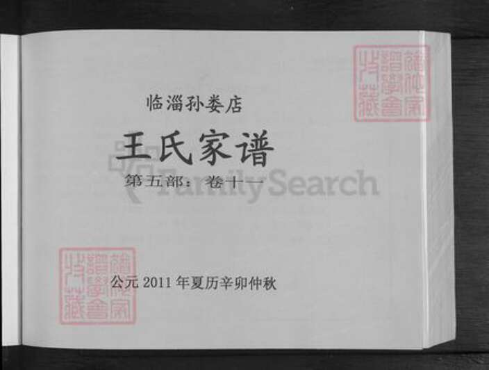 山东省淄博市临淄区王氏族谱-王氏家谱.pdf电子版预览图3