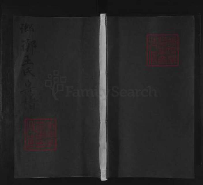江西省九江市都昌县王氏族谱-琅琊王氏宗谱.pdf电子版缩略图