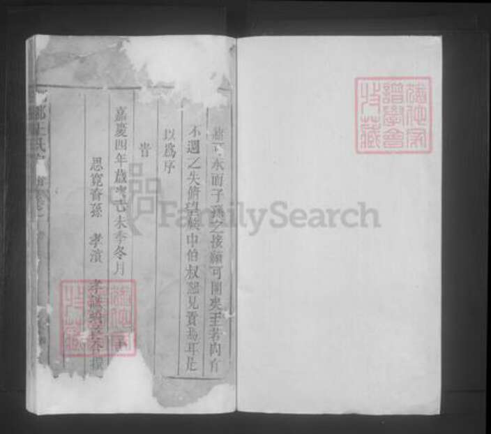 江西省九江市都昌县王氏族谱-琅琊王氏宗谱.pdf电子版预览图1