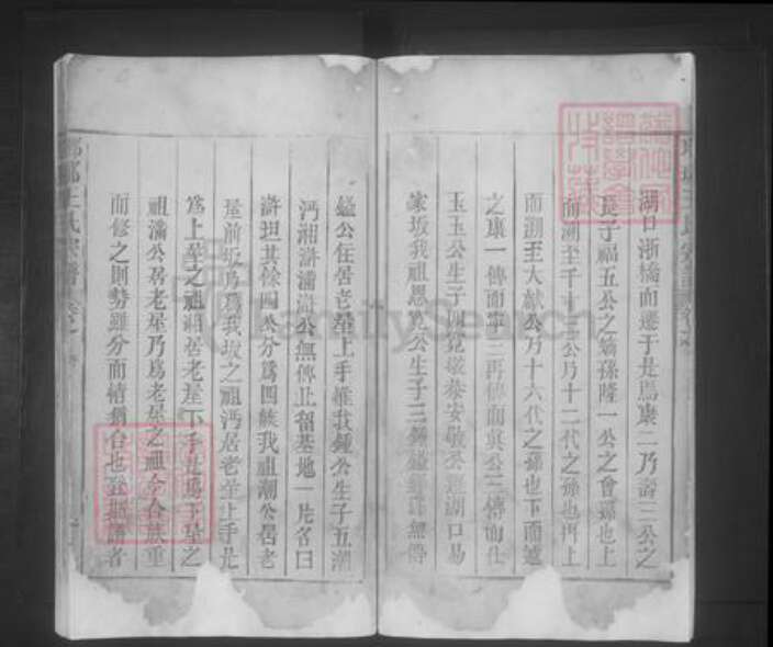 江西省九江市都昌县王氏族谱-琅琊王氏宗谱.pdf电子版预览图5