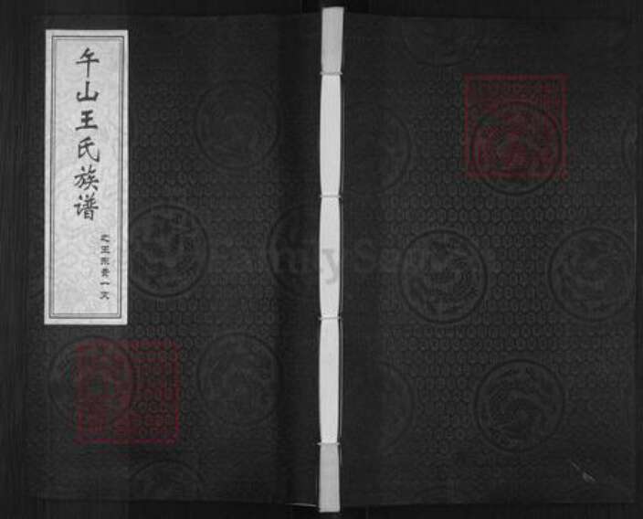 山东省青岛市即墨区王氏族谱-午山王氏族谱.pdf电子版缩略图