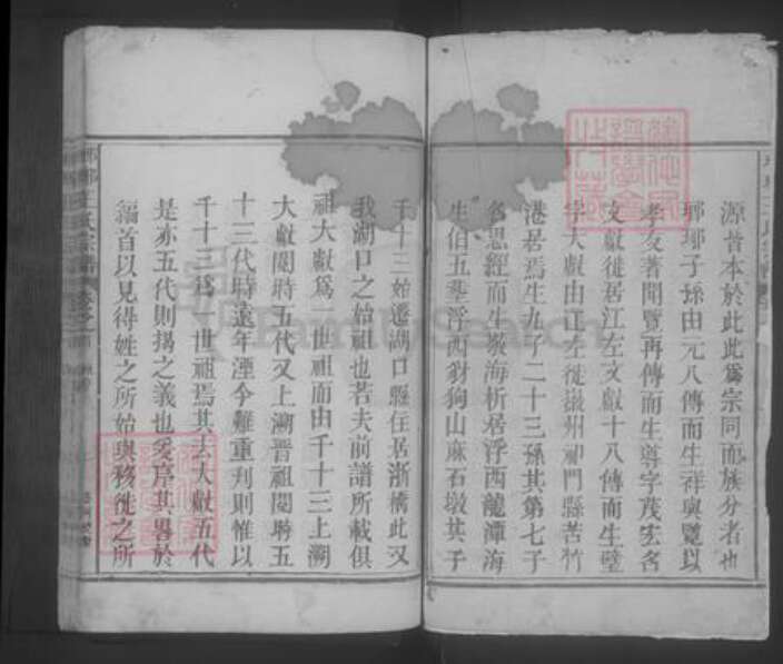 江西省九江市湖口县王氏族谱-琅琊王氏宗谱 [2卷,首1卷].pdf电子版预览图2