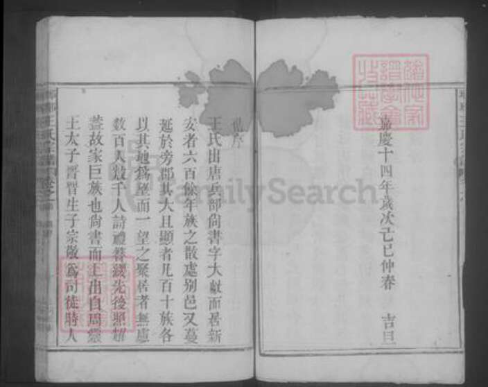 江西省九江市湖口县王氏族谱-琅琊王氏宗谱 [2卷,首1卷].pdf电子版预览图5