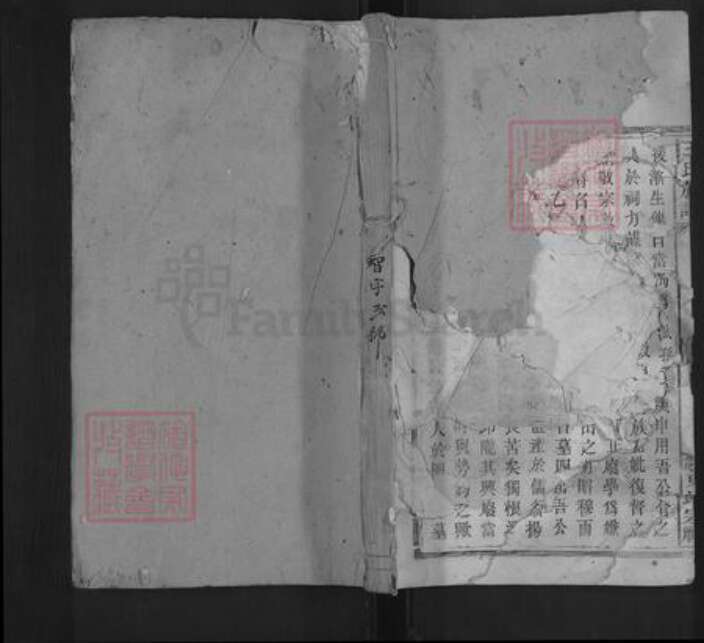 江西省吉安市安福县王氏宝善堂族谱-王氏族谱.pdf电子版缩略图