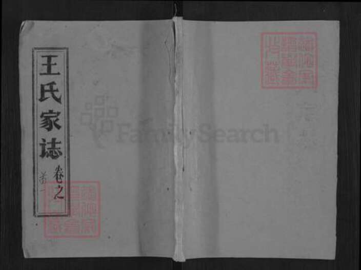 湖北省黄冈市黄梅县大河镇王氏槐荫堂族谱-王氏宗谱.pdf电子版缩略图