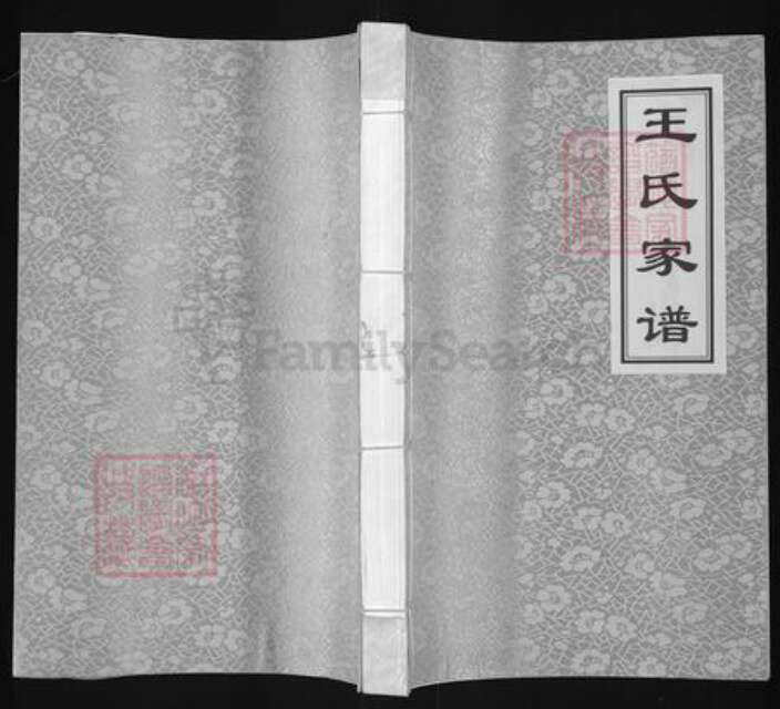 河南省郑州市中原区王氏三槐堂族谱-王氏家谱.pdf电子版缩略图