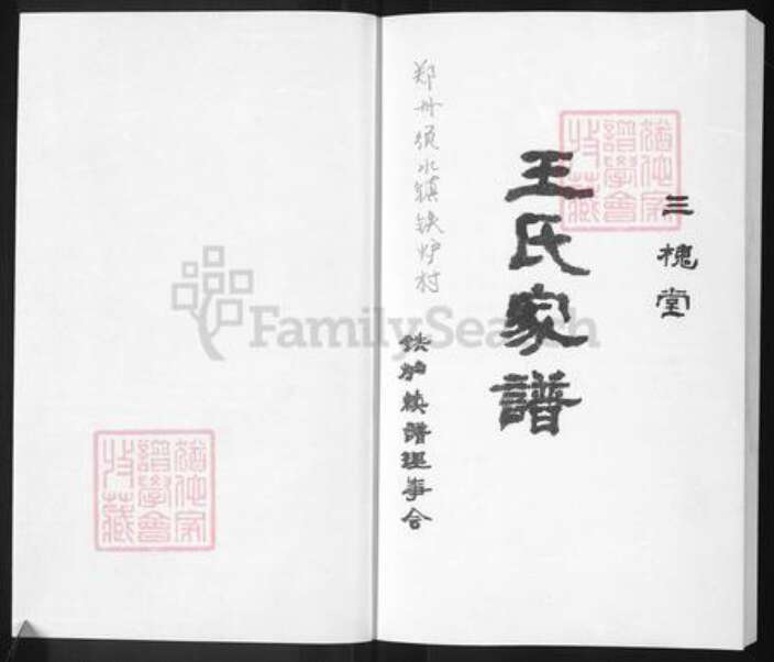 河南省郑州市中原区王氏三槐堂族谱-王氏家谱.pdf电子版预览图1
