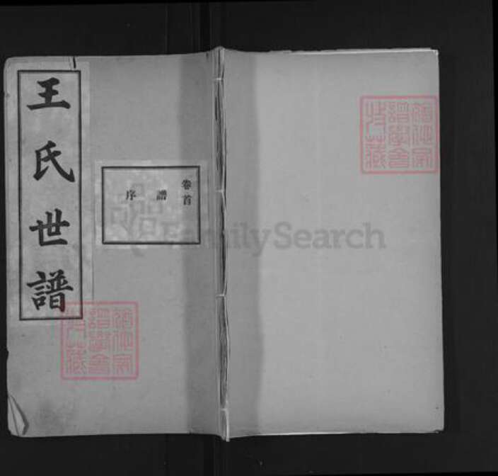 山东省淄博市桓台县新城镇王氏族谱-王氏族谱.pdf电子版缩略图