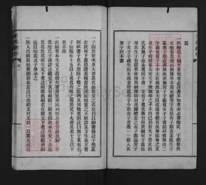 山东省淄博市桓台县新城镇王氏族谱-王氏族谱.pdf电子版预览图2