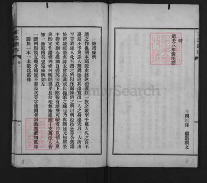 山东省淄博市桓台县新城镇王氏族谱-王氏族谱.pdf电子版预览图5