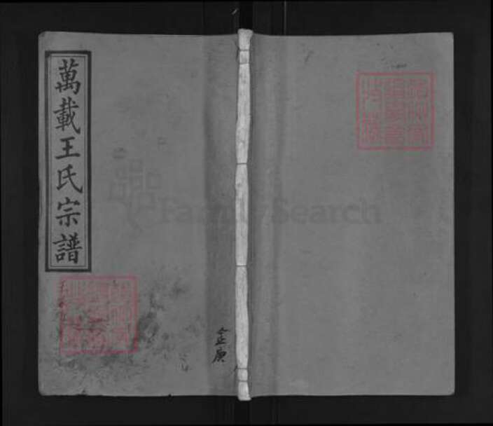 江西省吉安市万安县宝山乡王氏三槐堂族谱-万载王氏宗谱.pdf电子版缩略图