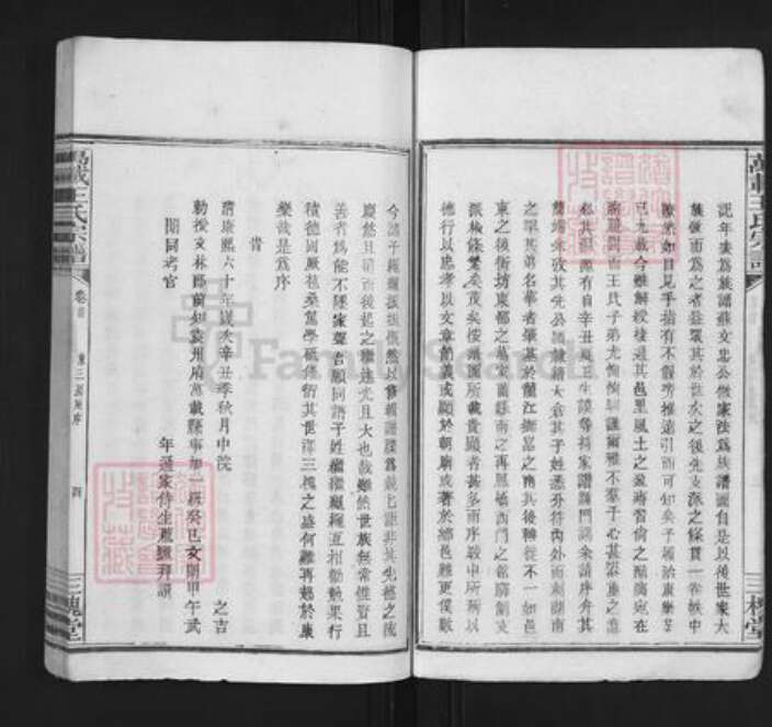 江西省吉安市万安县宝山乡王氏三槐堂族谱-万载王氏宗谱.pdf电子版预览图4