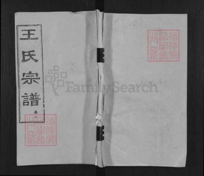 湖北省黄冈市麻城市王氏三槐堂族谱-王氏宗谱.pdf电子版缩略图