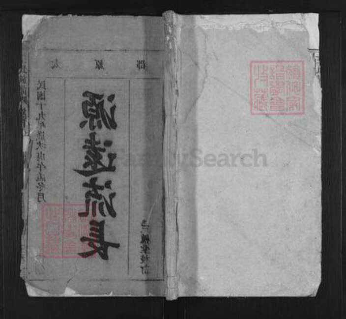 安徽省安庆市潜山市梅城镇王氏三槐堂族谱-王氏族谱.pdf电子版缩略图