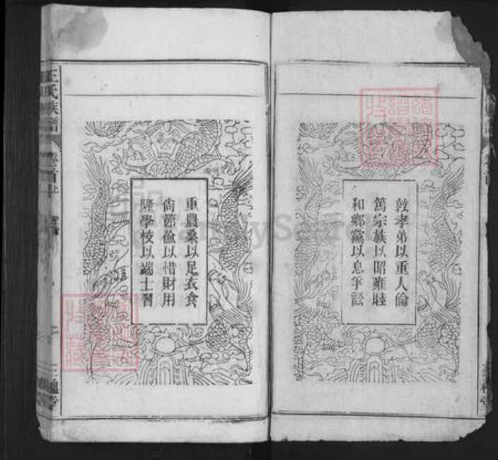 安徽省安庆市潜山市梅城镇王氏三槐堂族谱-王氏族谱.pdf电子版预览图2