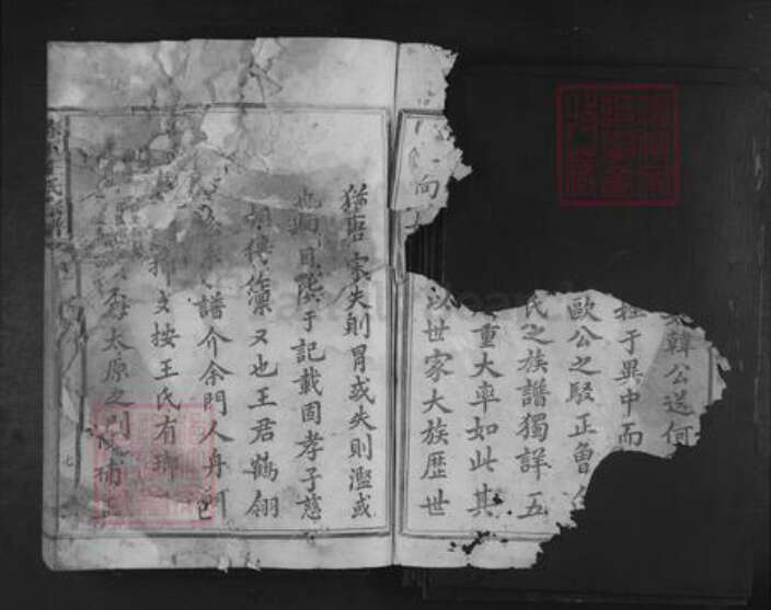 福建省南平市建瓯市王氏族谱-赤下王氏宗谱.pdf电子版预览图2