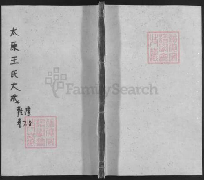 江苏省苏州市吴中区东山镇王氏族谱-太原王氏大成宗谱.pdf电子版缩略图