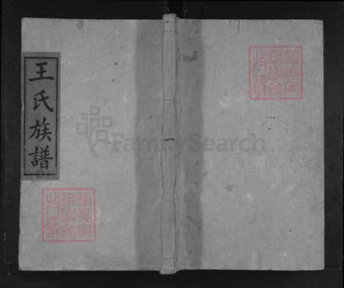 湖南省怀化市溆浦县龙潭镇王氏三槐堂族谱-王氏族谱.pdf电子版缩略图