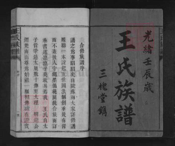湖南省怀化市溆浦县龙潭镇王氏三槐堂族谱-王氏族谱.pdf电子版预览图1