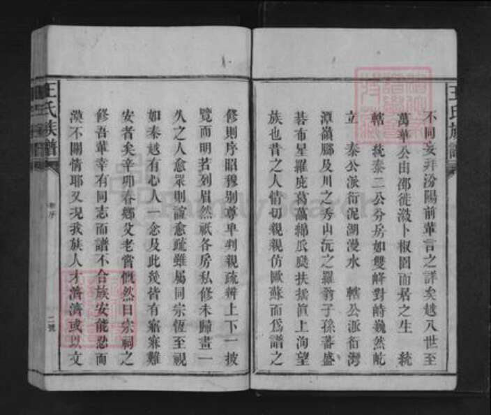 湖南省怀化市溆浦县龙潭镇王氏三槐堂族谱-王氏族谱.pdf电子版预览图2