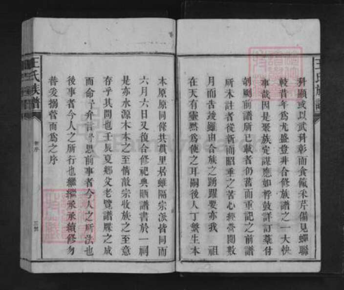 湖南省怀化市溆浦县龙潭镇王氏三槐堂族谱-王氏族谱.pdf电子版预览图3