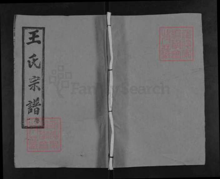 湖北省武汉市新洲区王氏三槐堂族谱-王氏宗谱.pdf电子版缩略图