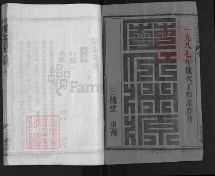 湖北省武汉市新洲区王氏三槐堂族谱-王氏宗谱.pdf电子版预览图1