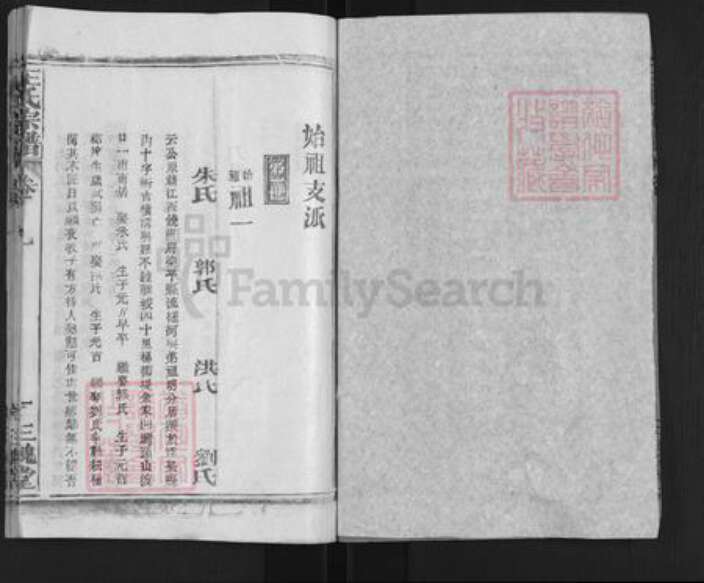 湖北省武汉市新洲区王氏三槐堂族谱-王氏宗谱.pdf电子版预览图2