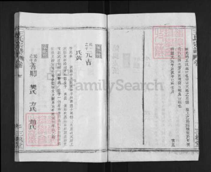 湖北省武汉市新洲区王氏三槐堂族谱-王氏宗谱.pdf电子版预览图3