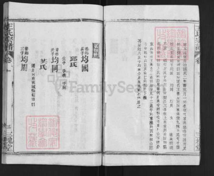 湖北省武汉市新洲区王氏三槐堂族谱-王氏宗谱.pdf电子版预览图4