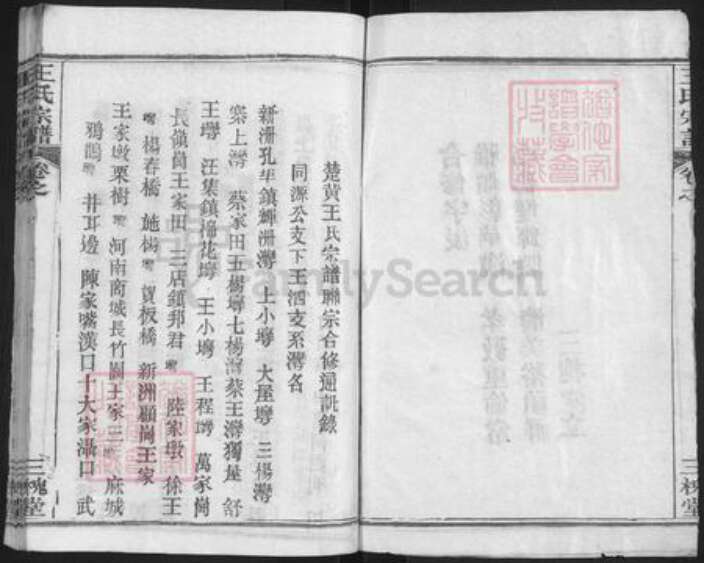 湖北省武汉市新洲区王氏三槐堂族谱-王氏宗谱.pdf电子版预览图2