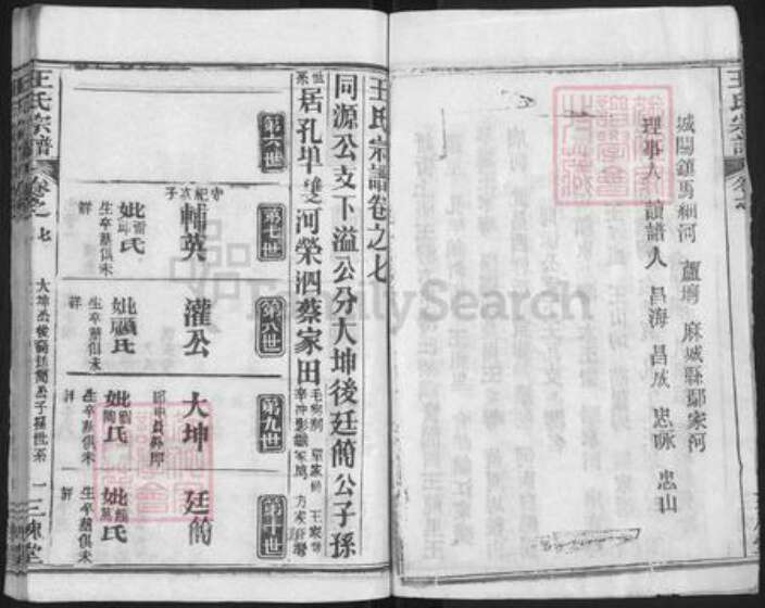 湖北省武汉市新洲区王氏三槐堂族谱-王氏宗谱.pdf电子版预览图4