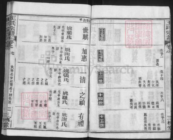 湖北省武汉市新洲区王氏三槐堂族谱-王氏宗谱.pdf电子版预览图5