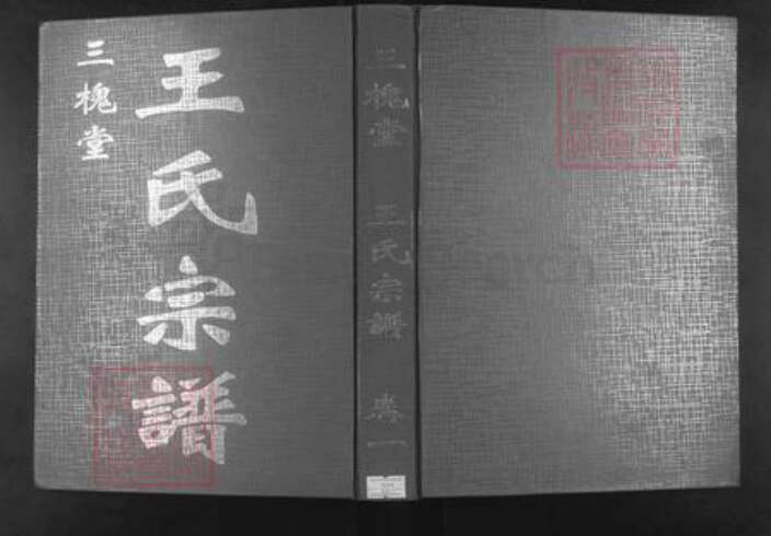 湖北省黄冈市王氏三槐堂族谱-王氏宗谱.pdf电子版缩略图