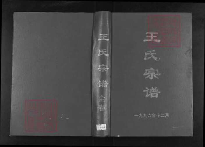 河南省信阳市光山县文殊乡王氏三槐堂族谱-王氏宗谱.pdf电子版缩略图