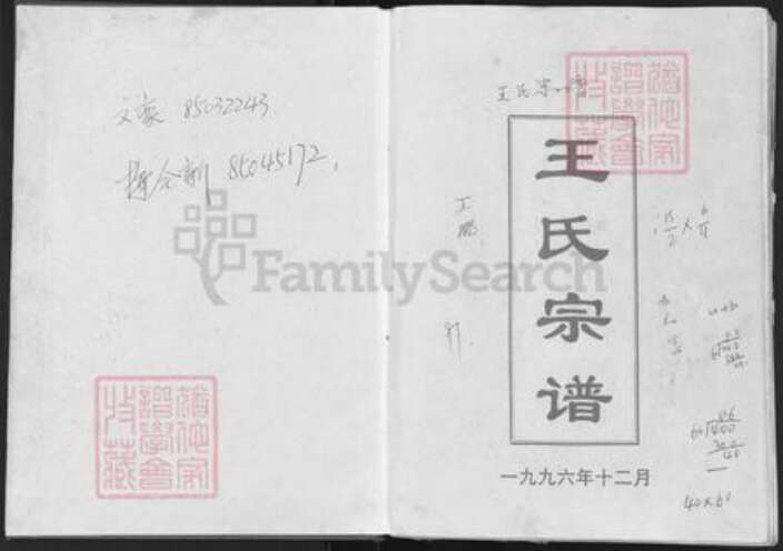 河南省信阳市光山县文殊乡王氏三槐堂族谱-王氏宗谱.pdf电子版预览图1