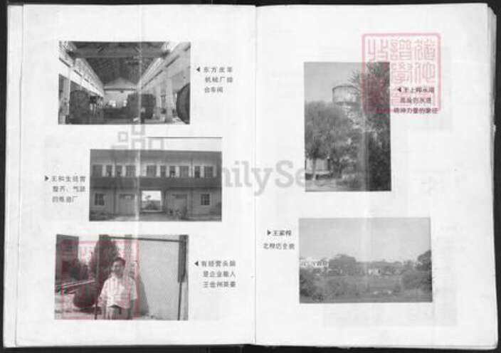 河南省信阳市光山县文殊乡王氏三槐堂族谱-王氏宗谱.pdf电子版预览图5