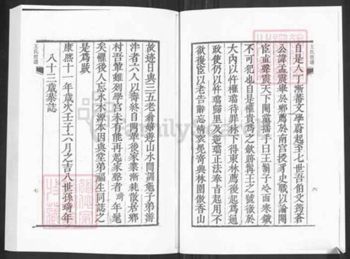 山东省淄博市淄川区王氏族谱-淄川石门王氏世谱.pdf电子版预览图4