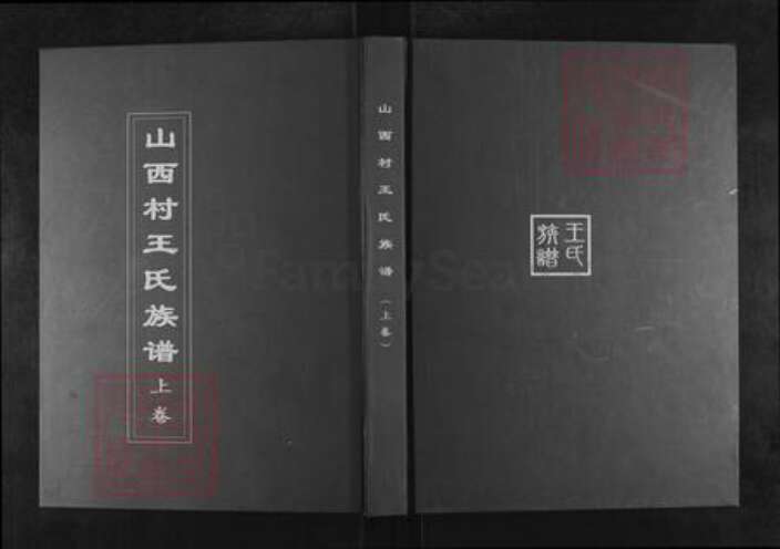 山东省淄博市淄川区王氏族谱-山西村王氏族谱.pdf电子版缩略图