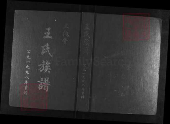 江苏省扬州市王氏三槐堂族谱-王氏族谱.pdf电子版缩略图