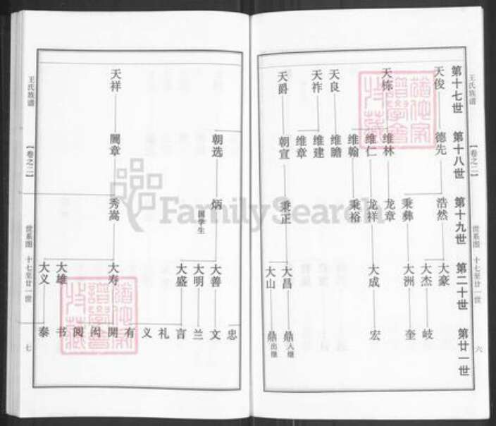 江苏省泰州市泰兴市王氏族谱-王氏族谱.pdf电子版预览图4