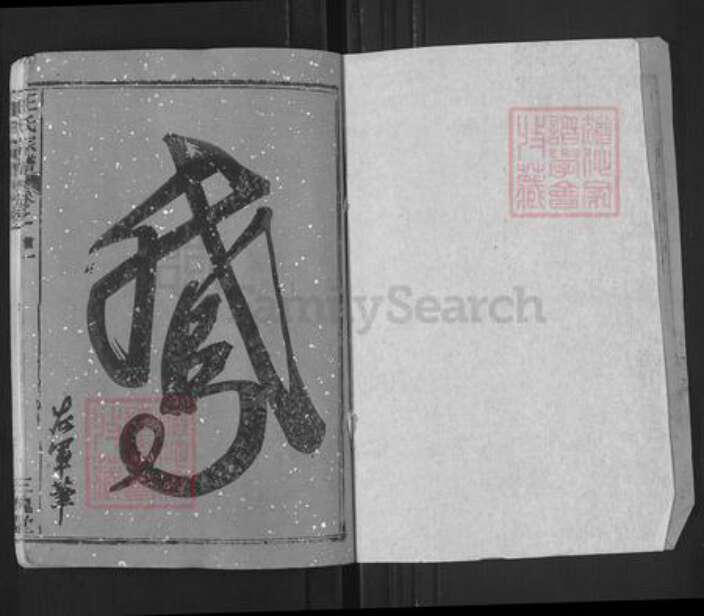湖北省武汉市新洲区王氏三槐堂族谱-王氏宗谱.pdf电子版预览图1