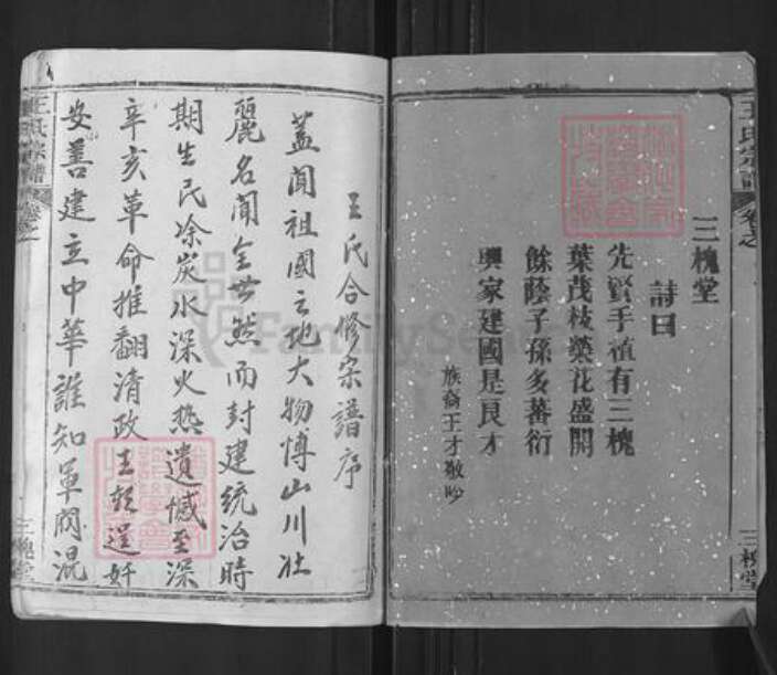 湖北省武汉市新洲区王氏三槐堂族谱-王氏宗谱.pdf电子版预览图2