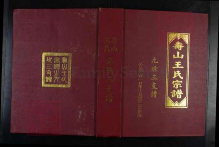 山东省潍坊市安丘市王氏族谱-寿山王氏宗谱.九世三支谱.pdf电子版缩略图