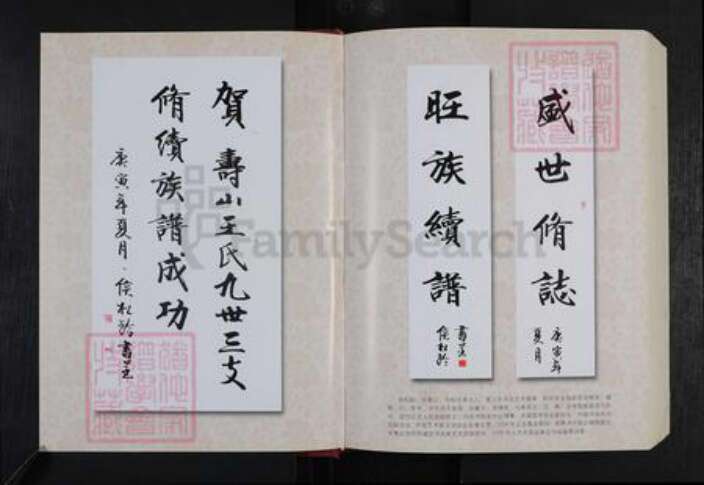 山东省潍坊市安丘市王氏族谱-寿山王氏宗谱.九世三支谱.pdf电子版预览图2
